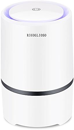 RIGOGLIOSO Air Purifier Air Cleaner for Home with True HEPA & Active Carbon Filter, Portable Air Purifiers, Air Ionizer Remove Dust, Pollen,Smoke, Odors with 5V 1.5M USB Cable