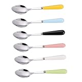 SOIMISS 6 Stück Mehrzweck Obstlöffel aus Rostfreiem Edelstahl Fütterungslöffel mit Gezackter...