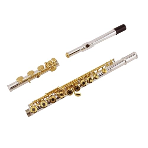 Flet poprzeczny Flet dla początkujących 17-dołkowy instrument fletowy C Kluczowy instrument