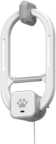 Potaroma Interactive Cat Feather Toys 5 Pcs — lifestyle photo