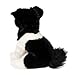 Douglas Soft Herdie Border Collie 11