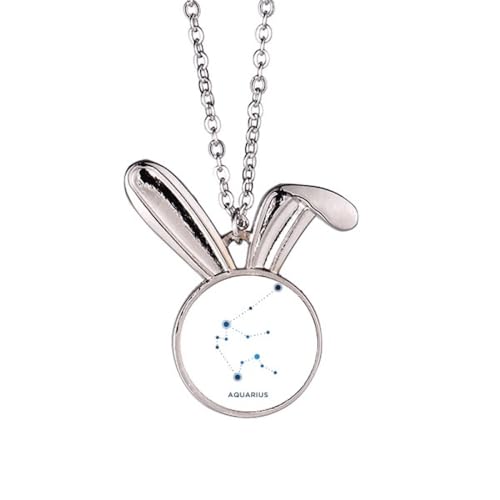 Collier lapin constellation du zodiaque à offrir comme cadeau d'anniversaire symbolique