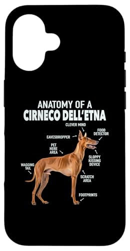 Anatomy Of A Cirneco Dell'Etna �X�}�z�P�[�X iPhone 16 �p