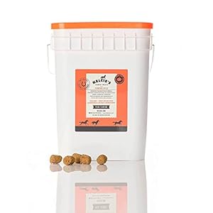 Horse Treats for Training and Bonding – Made with All-Natural Flavors,Horse Treats Low Sugar Delights of Pure Flavor and Health,Suitable for Horses with Cushing’s,15lbs Bucket