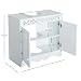 HOMCOM Armario de Baño Tipo Mueble Bajo para Lavabo con 2 Puertas...