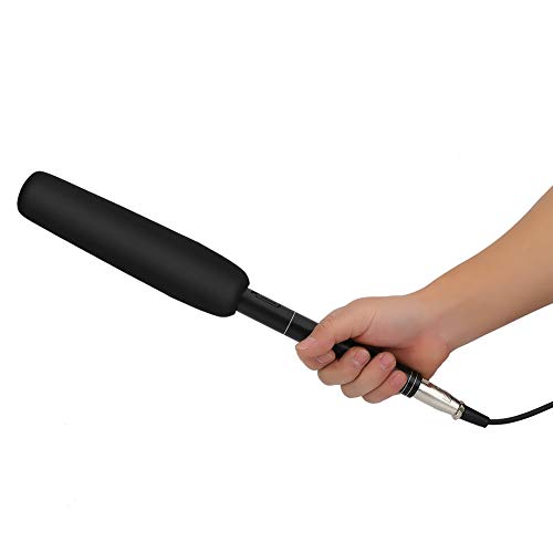 Vendite Pazze Microfono Professionale per