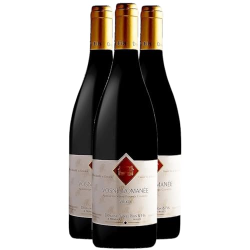 Vosne-Romanée Tinto 2017 – Domaine Daniel Rion – Pinot Noir de Borgoña Vosne-Romanée Tinto 2017 – Domaine Daniel Rion – Pinot Noir de Borgoña