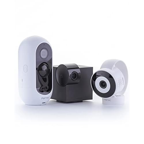 PetTec Hundekamera Set aus Cam 360° | Cam Lite & Cam Free, mit App ohne ABO-Falle, Sprachfunktion & Nachtsicht - Haustier Überwachungskamera Full HD - Haustierkamera für Hund & Katze, Pet Camera
