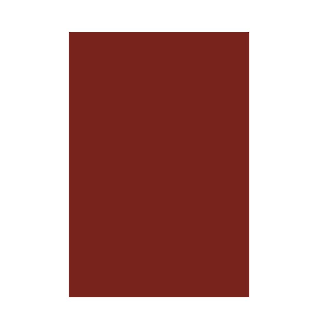 Chart Paper 200 GSM Premium Big Sheets | Rust RED | Pack of 10 | Vibrant Bright & Soft Pastel Color | Ideal for Crafts, Art, DIY & School Projects | A1 Big | Full Size - 56 cm x 71 cm | GRD899