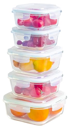 Razab 10 Pcs Glass Food Storage Containers with Lids – 74, 40, 27 & 18 Oz | Glass Meal Prep Containers Reusable | Lunch Containers with Lids, BPA-free freezer storage
