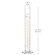 FunChem Messzylinder aus Hochborosilikatglas, 100 ml, Graduiert, mit Ausguss, 1er-Pack, Labor-Messzylinder