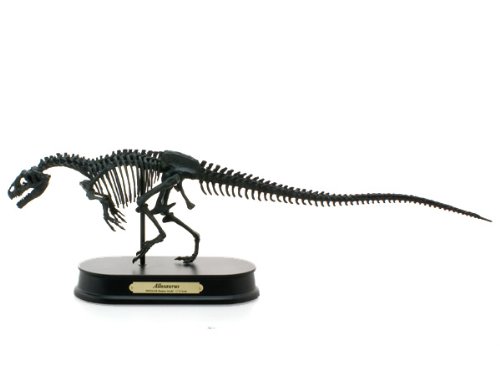 フェバリットコレクション アロサウルス 1/15 スケルトンモデル 恐竜 フェバリットコレクション アロサウルス 1/15 スケルトンモデル 恐竜