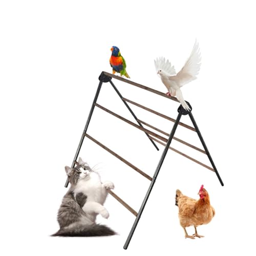 Échelle en Bois pour Poules, Jouet d'exercice avec Perchoirs pour Poulailler, Accessoire de Parcours pour Volaille de Basse-Cour