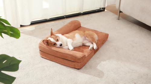 Image of Rainmr Microsuede Dog Bed Orthopedic Washable - Small Medium XLarge Dogs - Memory Foam Couch Sofa with Waterproof Removable Cover, 35x23 Inches, Khaki