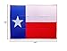 Camco Large Reversible Outdoor Patio Mat - Easy to Clean, Perfect for Picnics, Cookouts, Camping, and The Beach (9' x 12', Texas Flag Design) (42860)