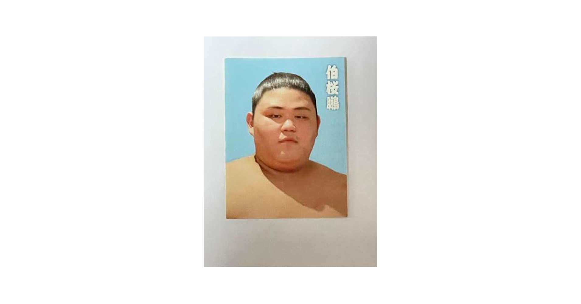 大相撲　大の里　力色紙　大相撲クレーン　証明写真風ステッカー　ラバーキーホ 大相撲 大の里 力色紙 大相撲クレーン 証明写真風ステッカー