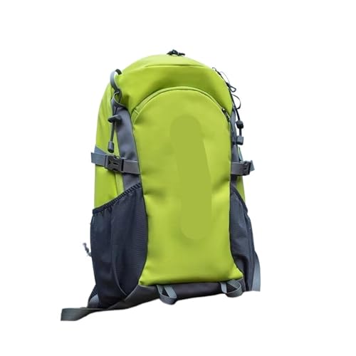 40L yʖhAEghAobNpbN ? LvAgbLOAsAX|[cɍœKȑe(GRAY COLOR)