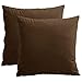 IDOCOLORS Lot de 2 Housses de Coussin Brun 45x45 cm Home Décoratif, Taie d'oreiller en Velours pour Canapé, Fermeture éclair Invisible