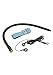 Zeus Electrosex Amped Ass Cock and Ball Strap with Anal Estim