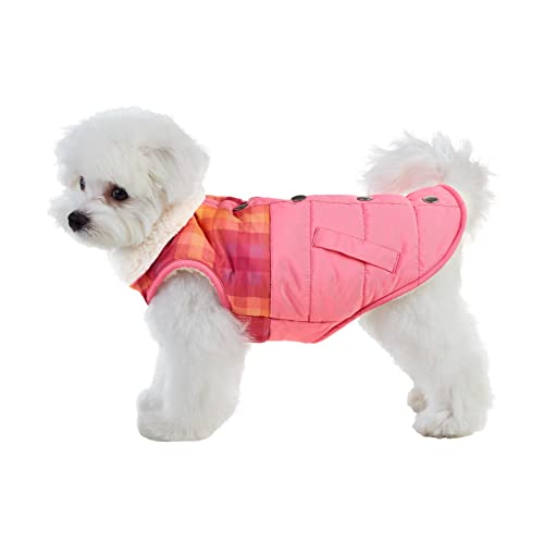 Best Furry Friends Graphic Coat for Dogs, Pink Ombre, X-Small