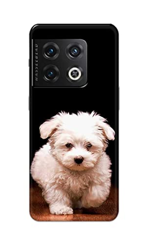 Image of PRINTFIDAA� Printed Hard Back Cover Case for OnePlus 10 Pro 5G Back Cover (Puppy Dog) -2808