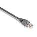 Black Box Corporation 4FT Gray CAT5E 350MHZ Patch Cable UTP cm SNAGLESS