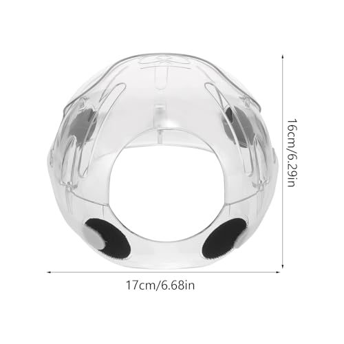 Casque pour chat anti-morsure accessoire de convalescence en plastique