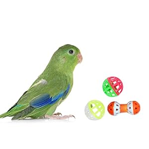 The Pets Company Bell Ball Toys for Birds, Parrot Cage Toys, Pack of 3