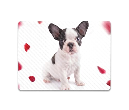 Image of MightySkins Carbon Fiber Skin Compatible with Microsoft Surface Laptop Go 3 (2023) Full Wrap Kit - Furry Frenchie | Protective Durable Textured Carbon Fiber Finish | Made in The USA