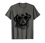 All Cute Tibetan Spaniel