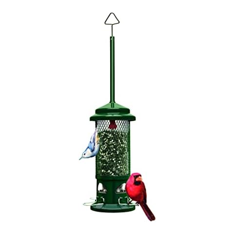 Squirrel Buster Standard Squirrel-proof Bird Feeder w/4 Metal Perches, 1.3-pound Seed Capacity, garden green Cover