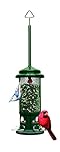 Squirrel Buster Standard Squirrel-Proof Feeder for Wild Birds – 4 Metal Perches, 1.3 lb Seed Capacity, Chew-Proof, Easy to Fill & Clean, Perfect for Sunflower Seeds, Blends & Dried Mealworms, Green