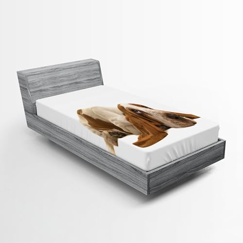 Ambesonne Basset Hound 2 Pack Fitted Sheet, Long Eared Dog, Bed Cover All-Round Elastic Deep Pockets 2 Pieces, Package Contains 2 Twin Size Fitted Sheets, Caramel Mustard