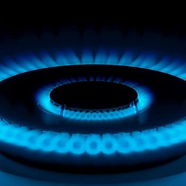 Teka EX 70.1 5G AI AL DR CI - Placa de Gas Butano de 68cm, 5 Quemadores, Parrillas de Fundición, Placa Gas 5 Fuegos, Placa de Gas Butano, Color Acero Inoxidable