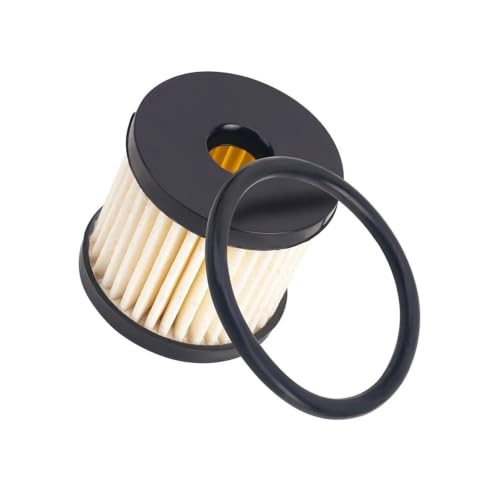 Filtro de combustible para Harley FXDP para solucionar tirones en aceleracion 2