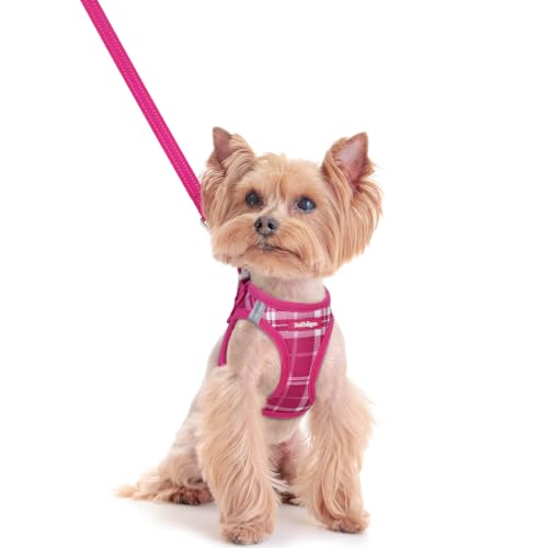 Image of rabbitgoo Dog Harness Small Sized and Leash Set, Step-in Puppy Pet Vest