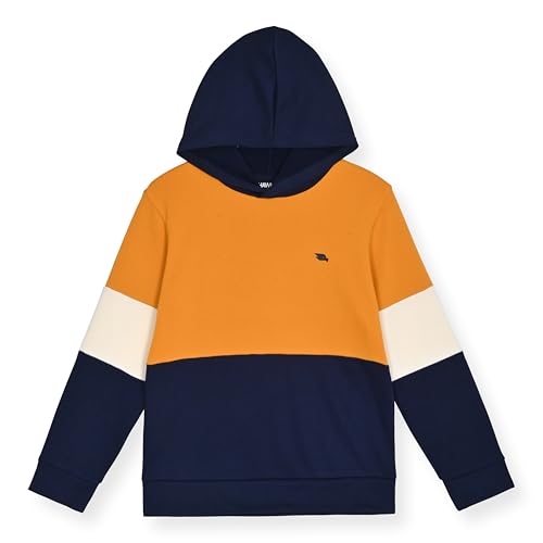 Tony Hawk 4 Piece Boys Jogger Sets For Kids 2 Pack Fleece Hoodie And Pull-On Sweatpants For Kids Skateboarding thumb #5