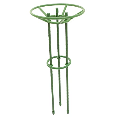 Toyvian Cages à pour Jardin Cadre Escalade pour Plantes Support De Tuteur pour Plantes Support pour Grimpantes Outil De Jardinage