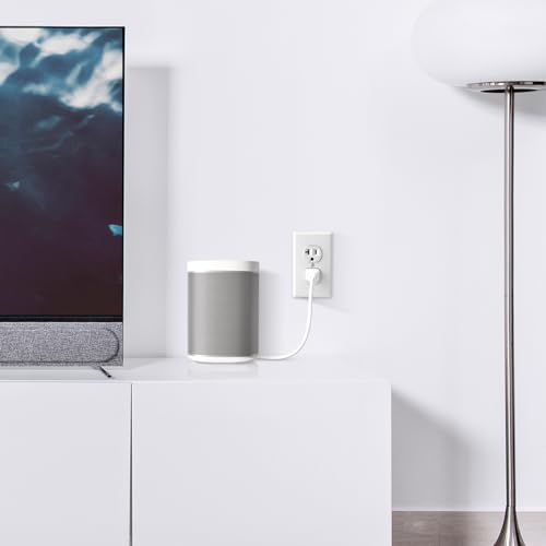 Lenink Power Cable Cord Compatible with Sonos Play 1 and One Speaker Accessories (1.15ft/0.35m)