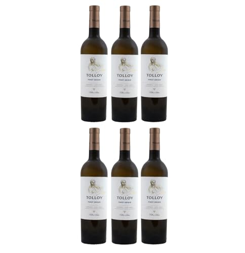 Mezzacorona Pinot Grigio Tolloy Weißwein weiß trocken Alto Adige Italien inkl. FeinWert E-Book (6 x 0,75l)