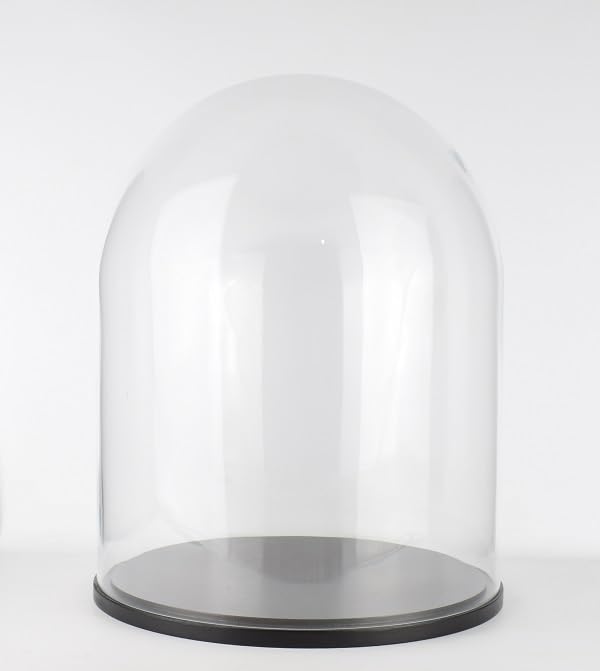 EMH Large Glass Dome Display Cloche Bell with Wooden Black Base 45 x 35.5 cm