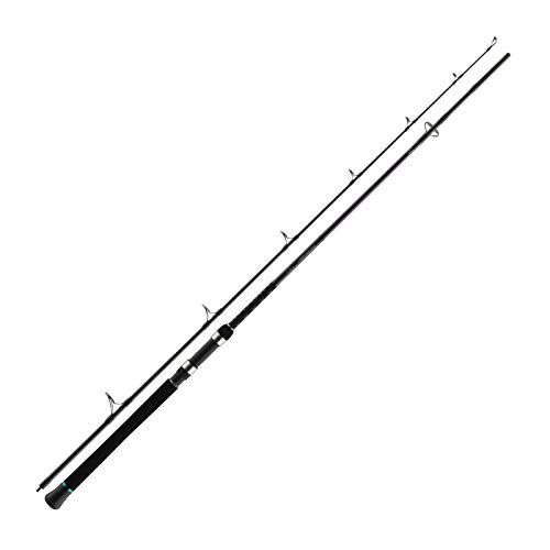 Daiwa Powermesh Catfish Spin - Caña de pescar para siluro (2,45 m, 190 g)