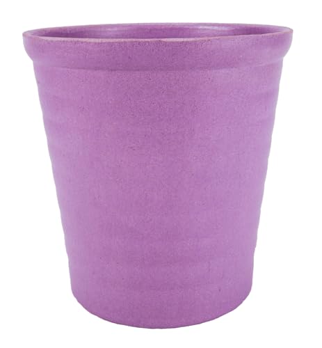 decoblooms premium orchid plant  534 blooms modern pot live indoor gift for birthday anniversary sympathy thank you get well