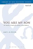 You Are My Son: The Family of God in the Epistle to the Hebrews (The Library of New Testament Studies)