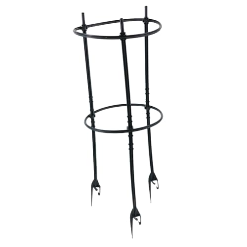 HYTROVE 1 Juego Estante para Plantas Trepadoras Soporte Resistente para Jardín y Decoración de Interiores para Enredaderas y Vegetales Diseño y Natural Incluye Varillas y Anillos