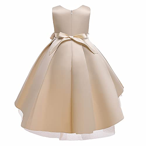 Flower Girl's Wedding Party Dress Princess Birthday Pageant Formal Ball Gown Prom3