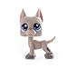 Original Little Pet Shop LPS Altes Kurzhaar Kätzchen Katze Collie Dackel Deutsche Dogge Spaniel Hund Actionfiguren Modell Puppen Spielzeug Deutsche Dogge 4