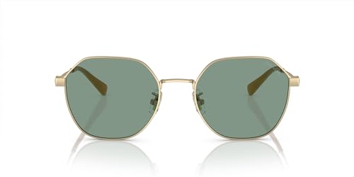 Lunettes de soleil rondes COACH HC7155 homme pour vos terrasses et sorties d'été