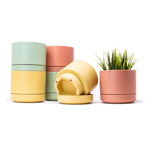QILZO Macetas Plástico con Plato Incorporado 12 cm, Pack 6 Maceteros Decorativos Interior Exterior, Tiestos para Plantas Interior, Plástico Resistente, Macetas Decorativas Modernas (6 x Pastel 12cm)