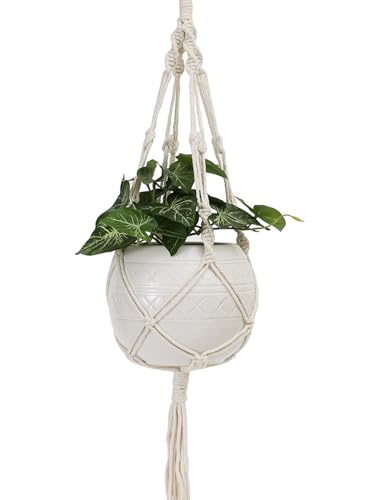 TAMAYKIM 6 Inch White Hanging Planter with Durable Rope